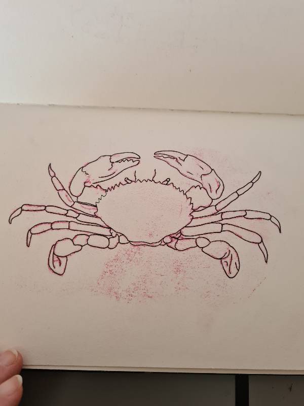 crab by mymsy_e (Pen, Soft pastel)