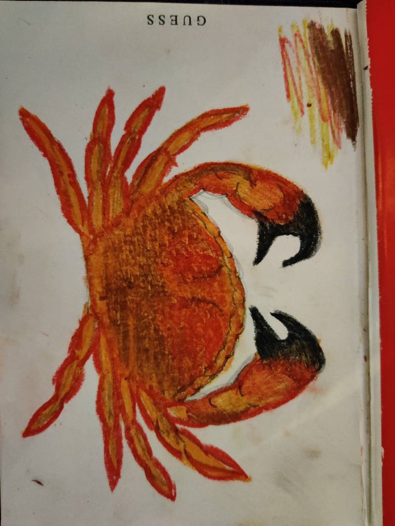 crab by S_Deere (Oil pastel)