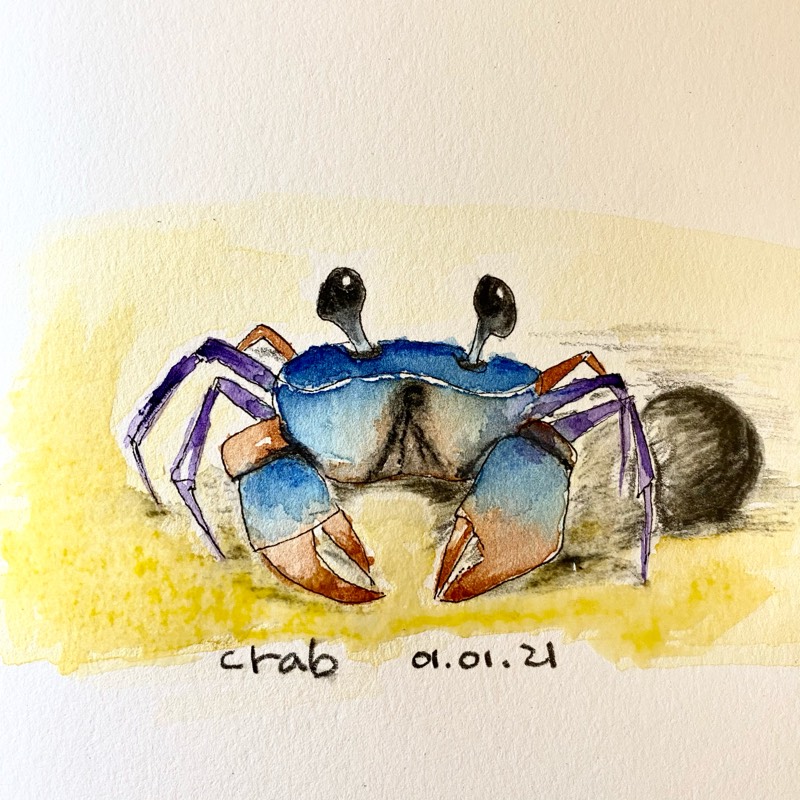 crab by jeuneson (Watercolor, Pen)