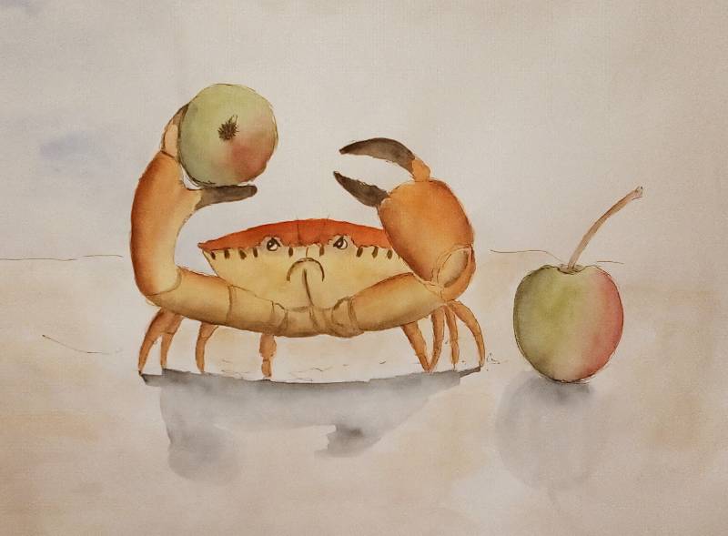 crab by Wiliane (Watercolor, Ink)