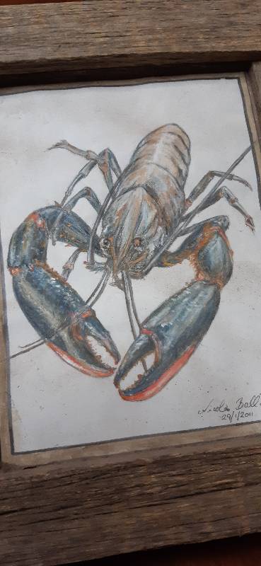 crab by nikki69 (Pencil, Watercolor)