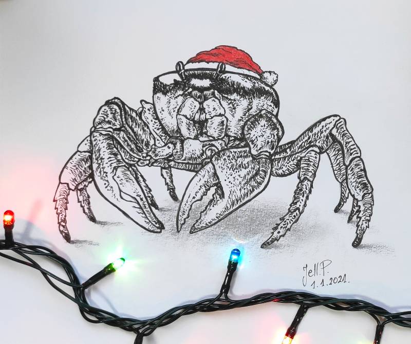 crab by Jell (Ink)