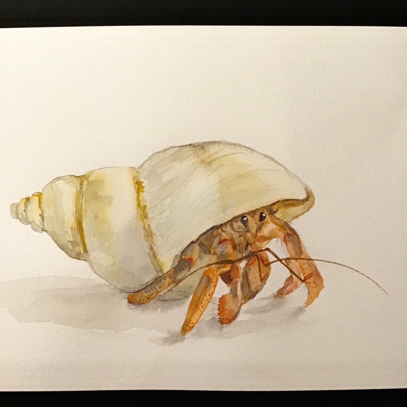 crab by Sally (Watercolor)