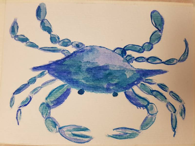 crab by Anke (Watercolor)