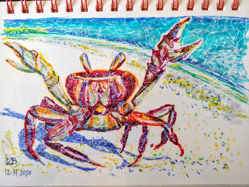crab by xoflodacious (Markers, Pen)