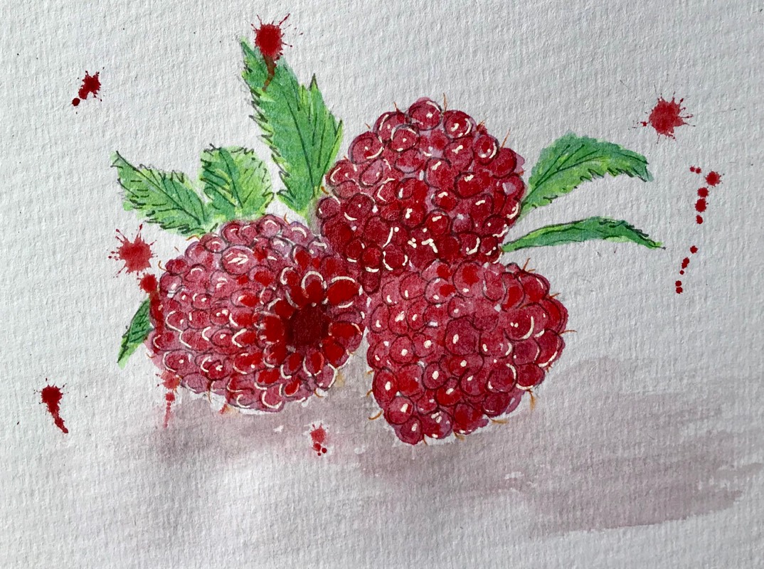fruit by fairlawnbj (Watercolor, Pen)