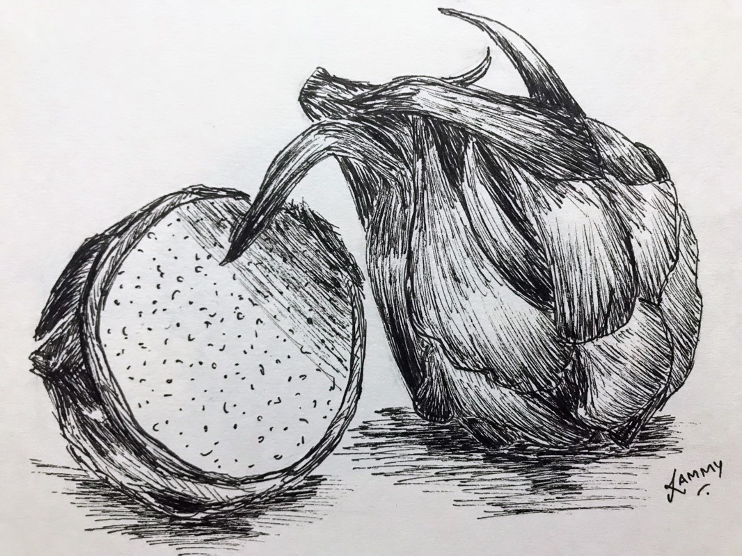 fruit by RammyArtworks (Pen, Ink)
