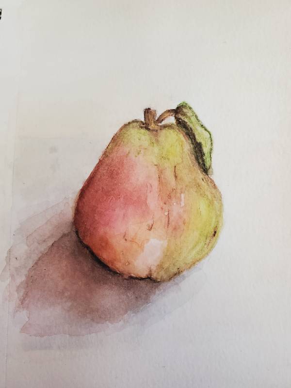 fruit by Aliciawattrn (Watercolor, Pencil)