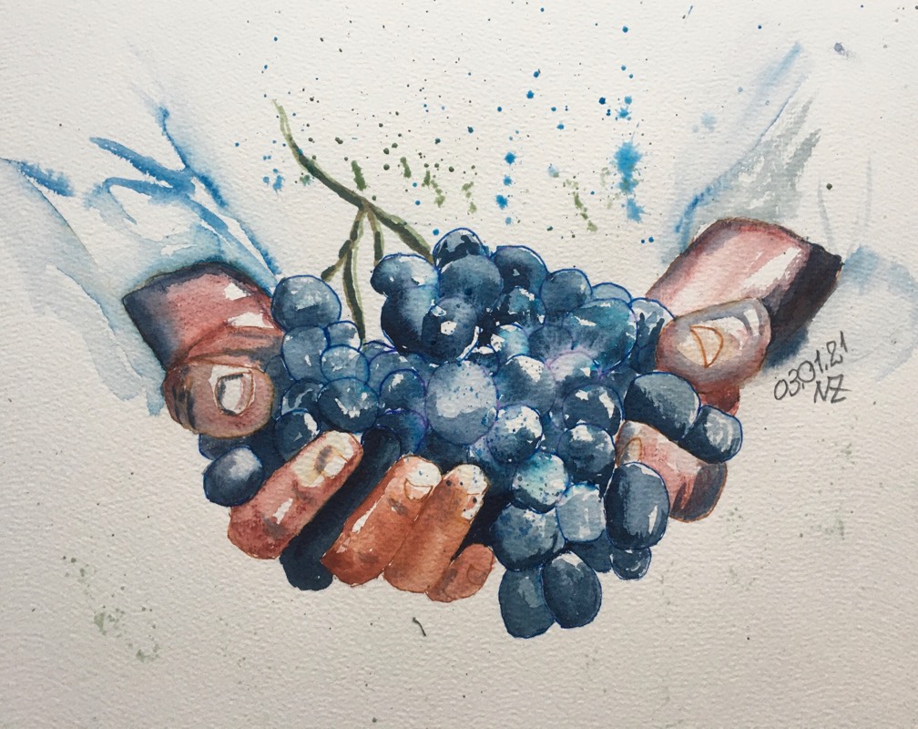 fruit by Nick_49 (Watercolor, Pen)