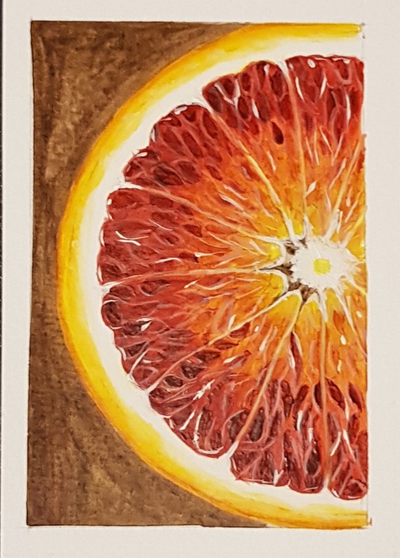 fruit by Pravi (Watercolor)