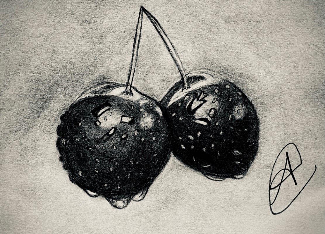 fruit by ARTISTIC (Pencil)