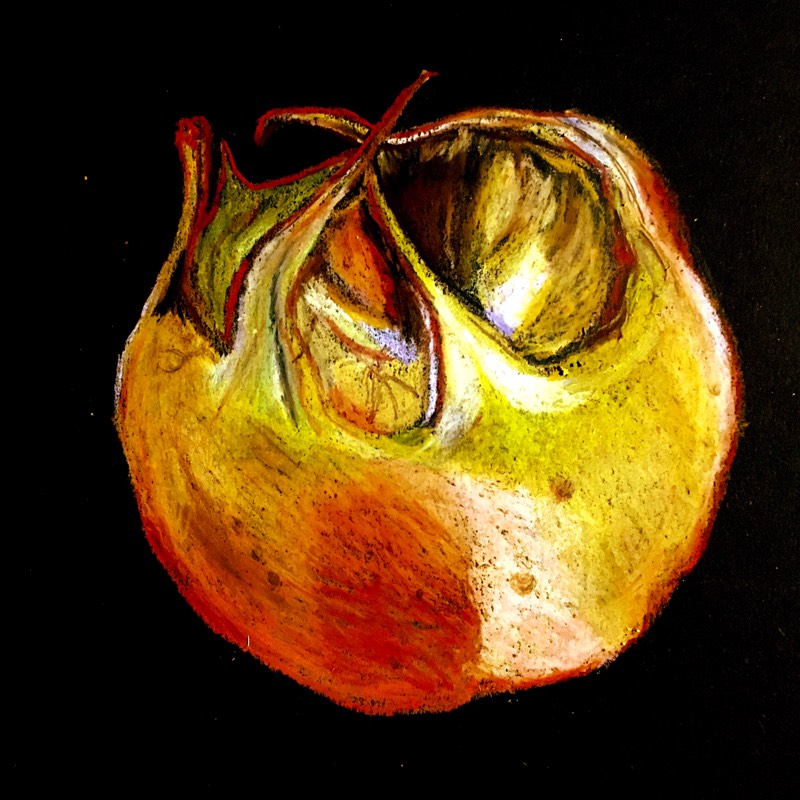 fruit by salopia (Oil pastel)