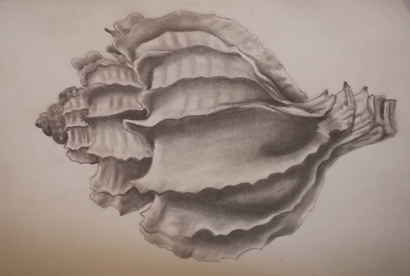 ocean by Featherless_Biped (Pencil)