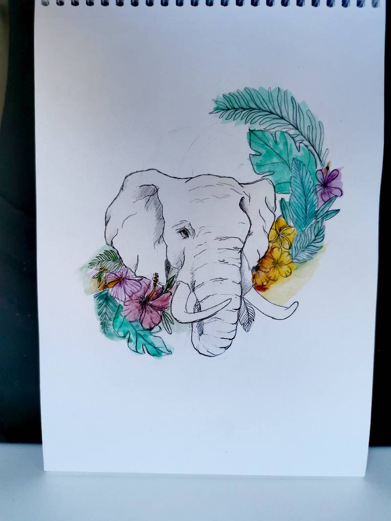 elephant by Leaaaa (Pencil, Watercolor)