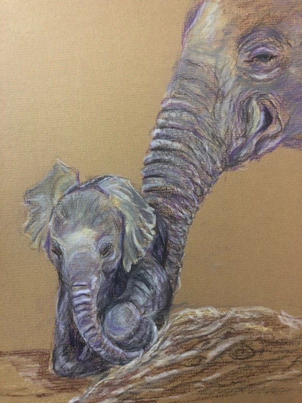 elephant by nien (Soft pastel)