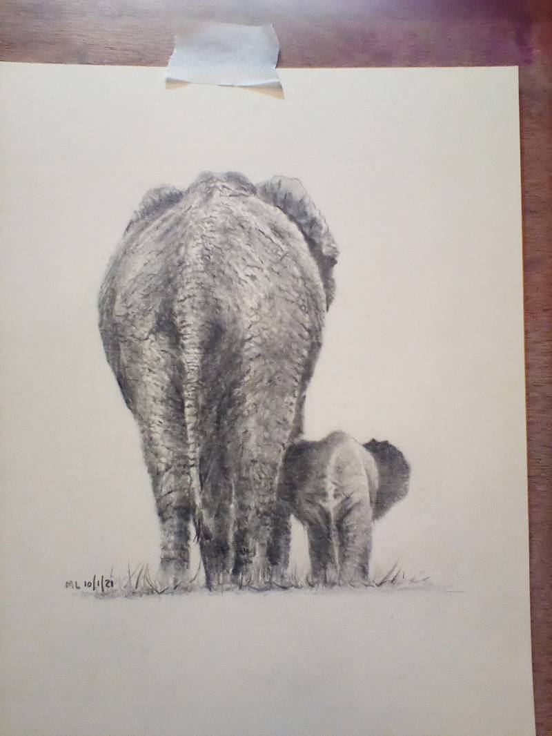 elephant by miclat (Pencil)