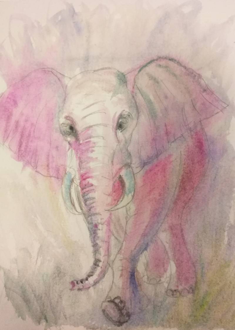 elephant by Mags (Pencil, Watercolor, Pen)