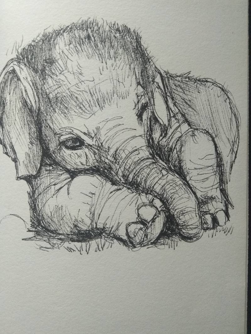 elephant by rheyrii (Pen, Ink)