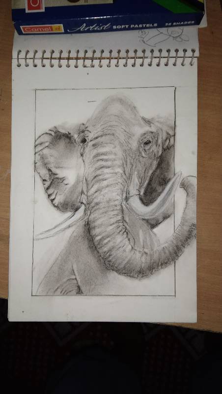 elephant by suhailpanch (Soft pastel, Charcoal)