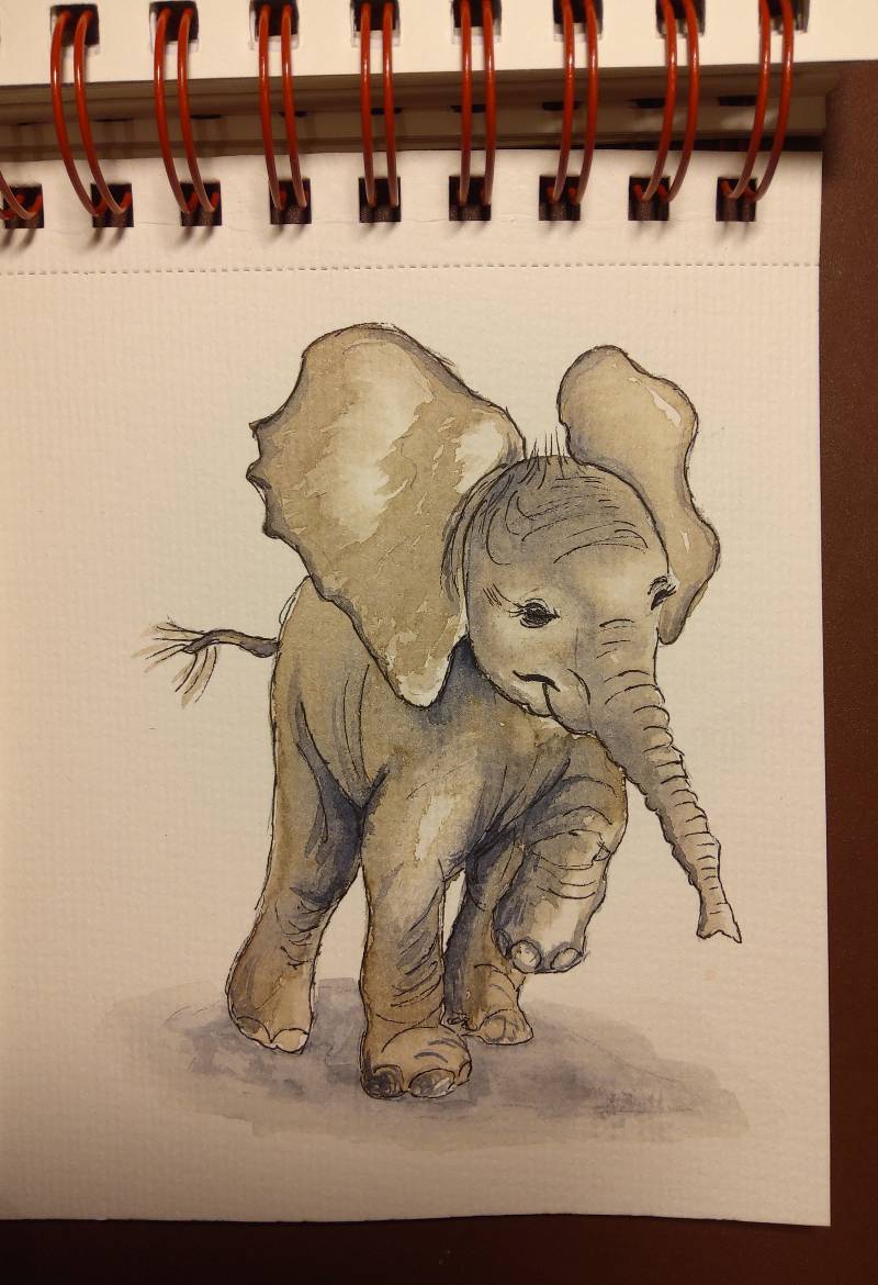 elephant by JB___ (Watercolor, Pen)