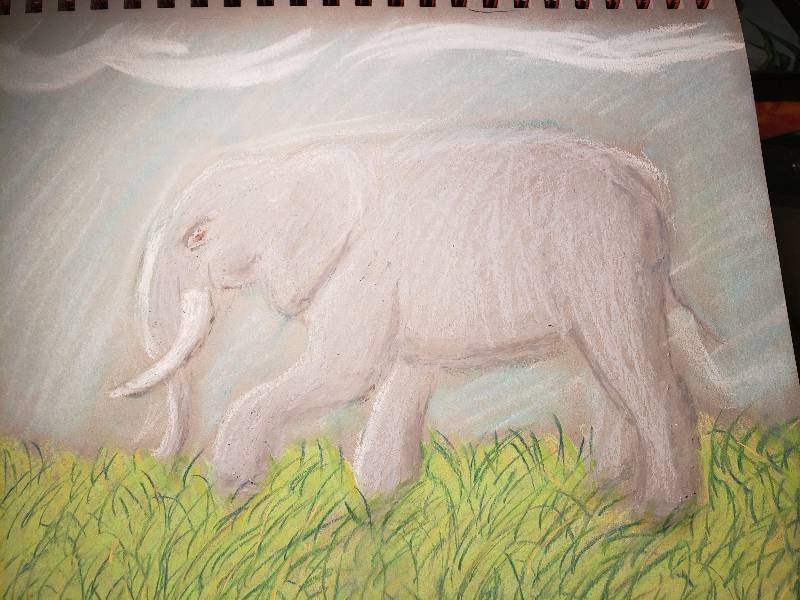 elephant by Kharney (Soft pastel, Oil pastel)