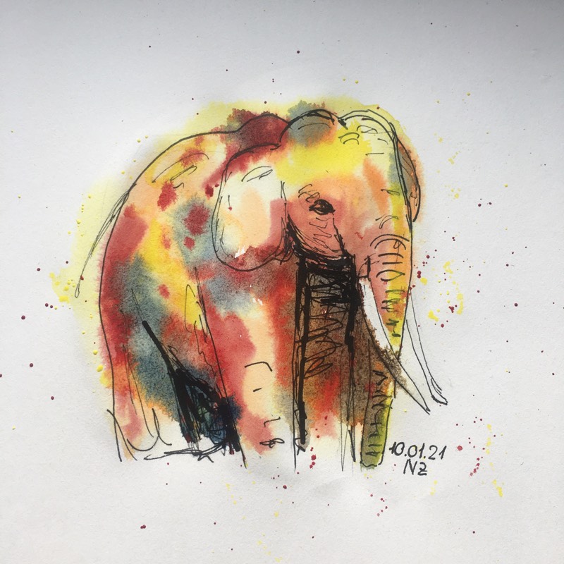 elephant by Nick_49 (Watercolor, Pen)