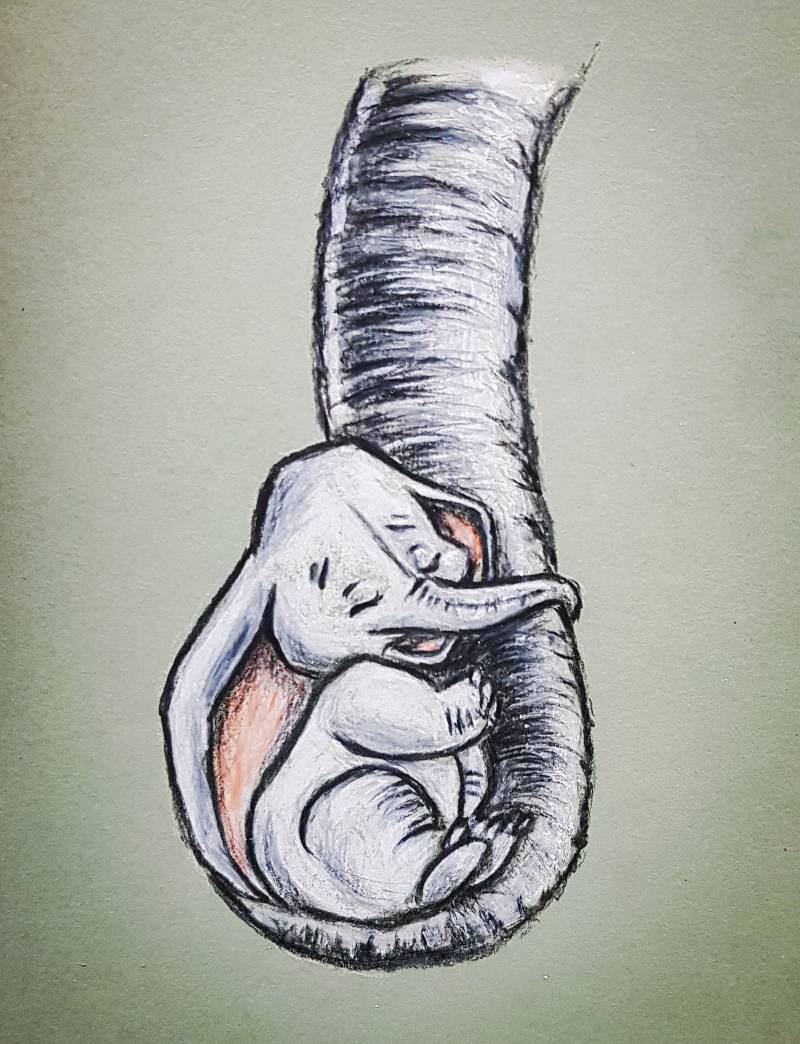 elephant by olcia_maciejewska (Pencil, Colored pencil)