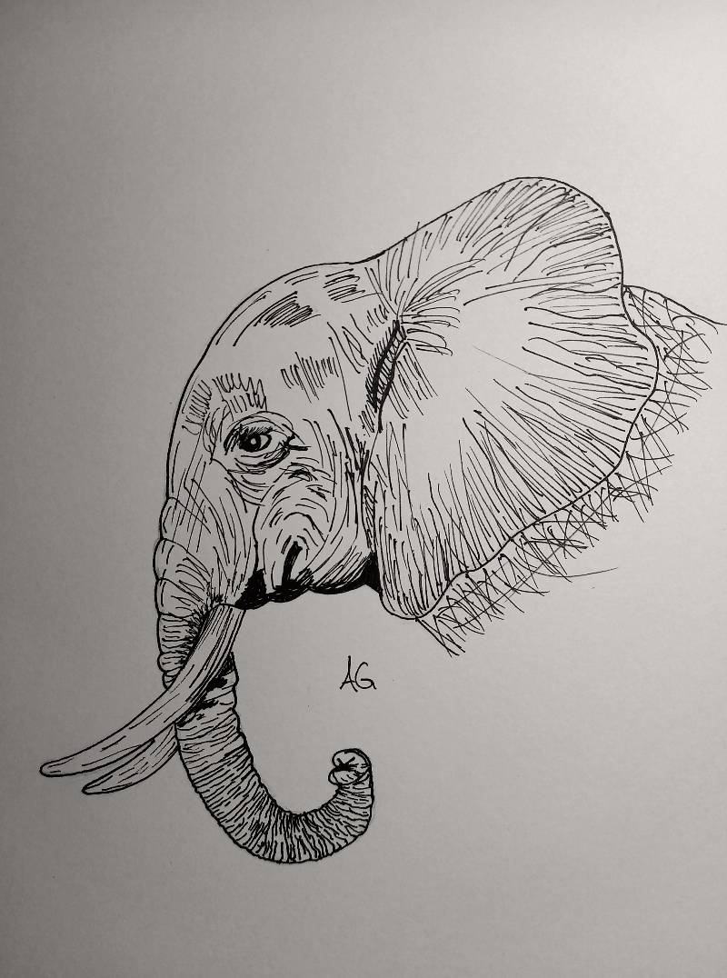 elephant by Anubsi (Markers)