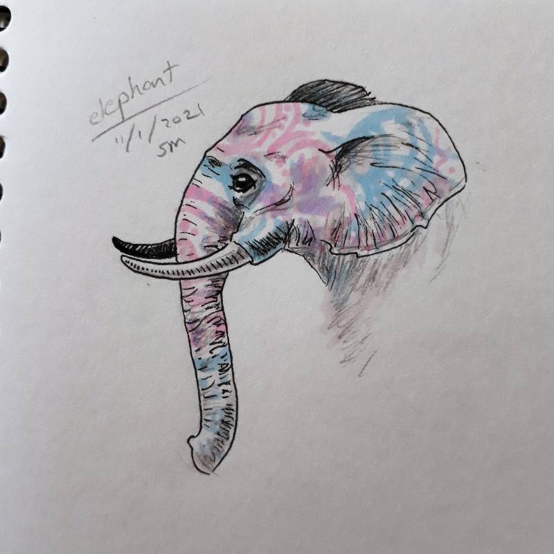 elephant by Sprout (Pencil, Pen, Markers)