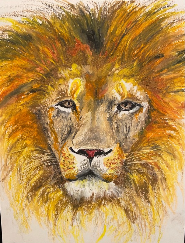lion by pmdavis7 (Oil pastel)
