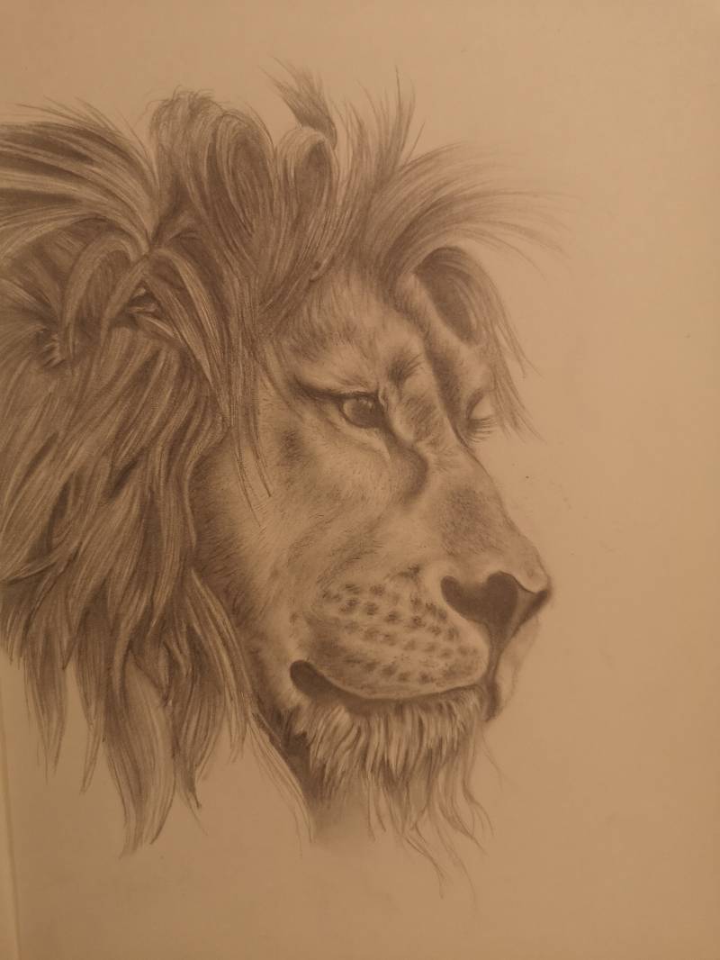 lion by Featherless_Biped (Pencil)