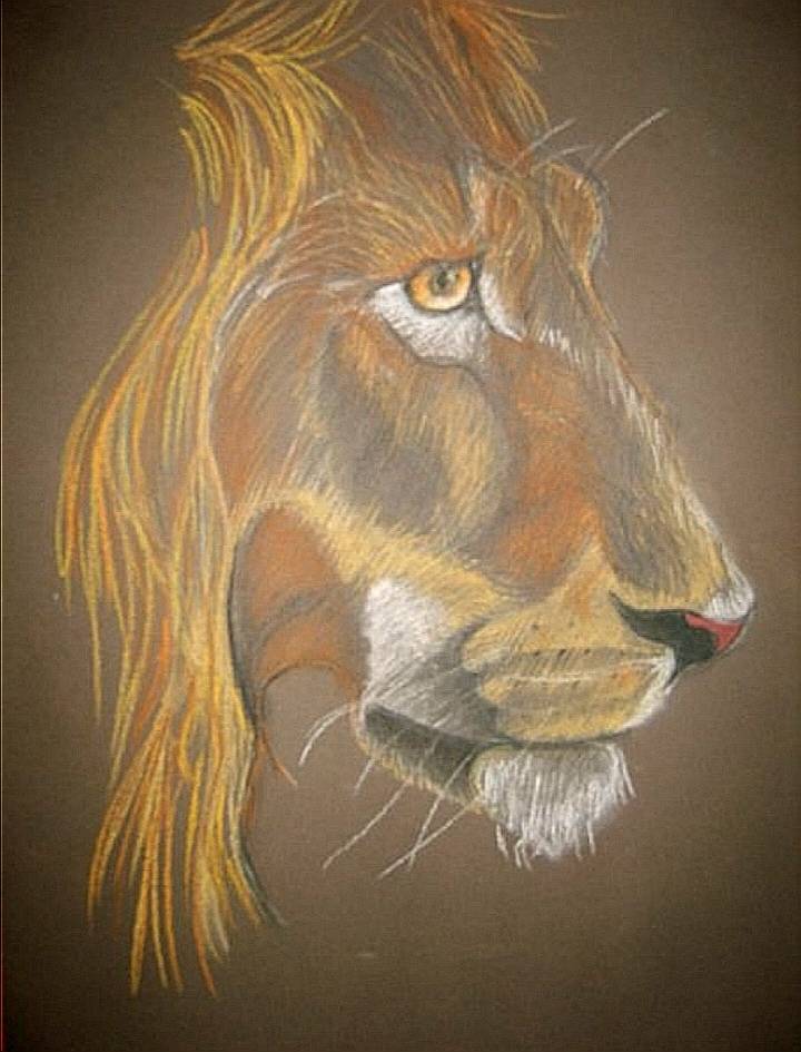 lion by Miko (Soft pastel)