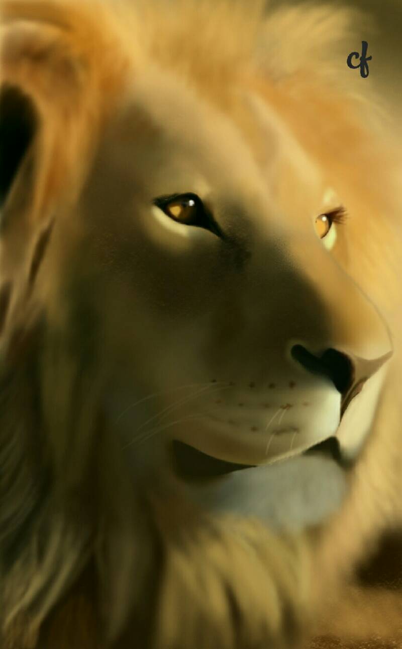 lion by desirella (Digital)