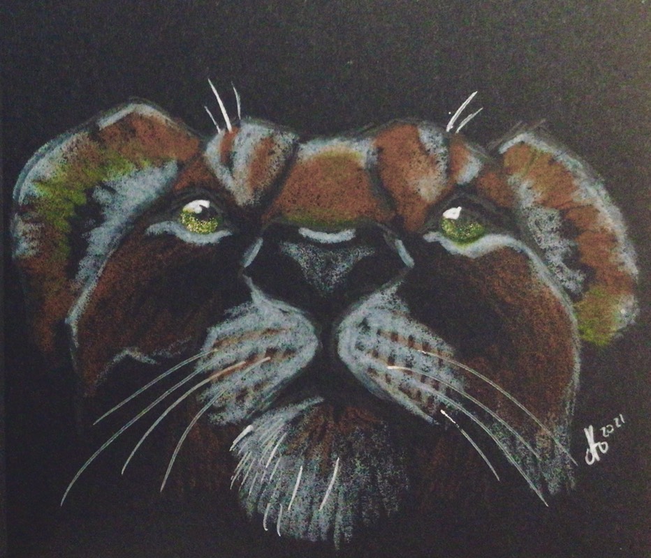 lion by Niomix (Colored pencil, Ink)