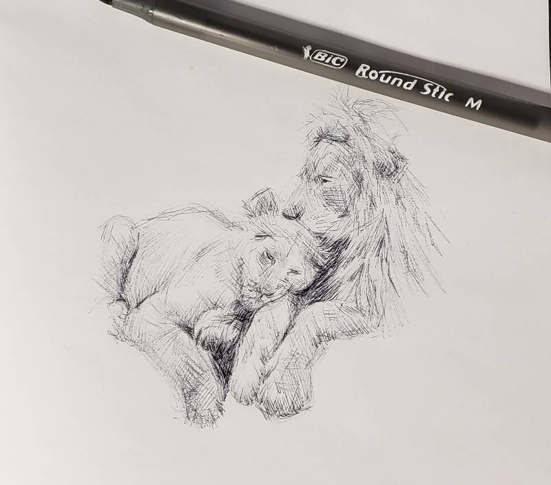 lion by sp3c14Lk (Pen)