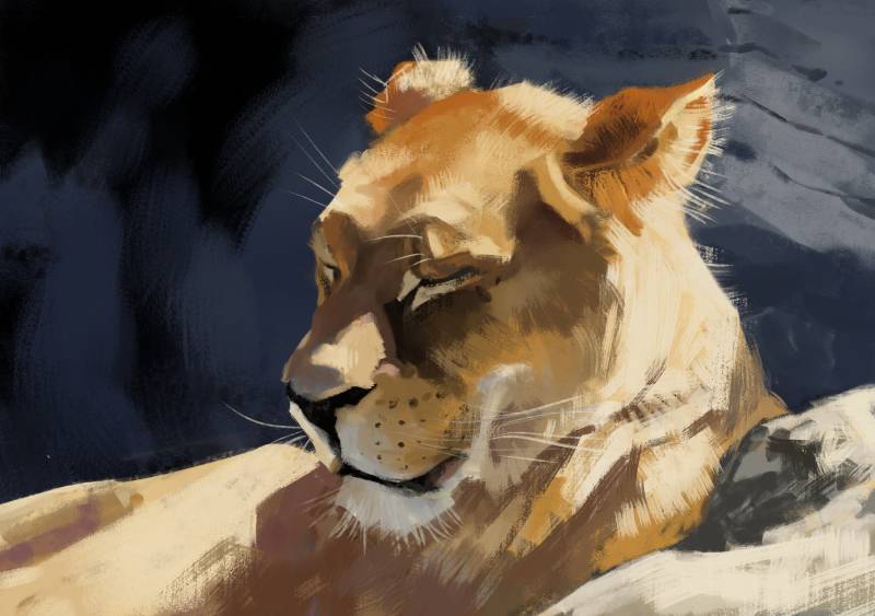 lion by Verdundegast (Digital)