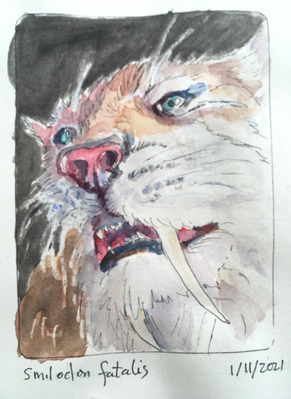 lion by WetDirt (Watercolor, Pen, Ink)