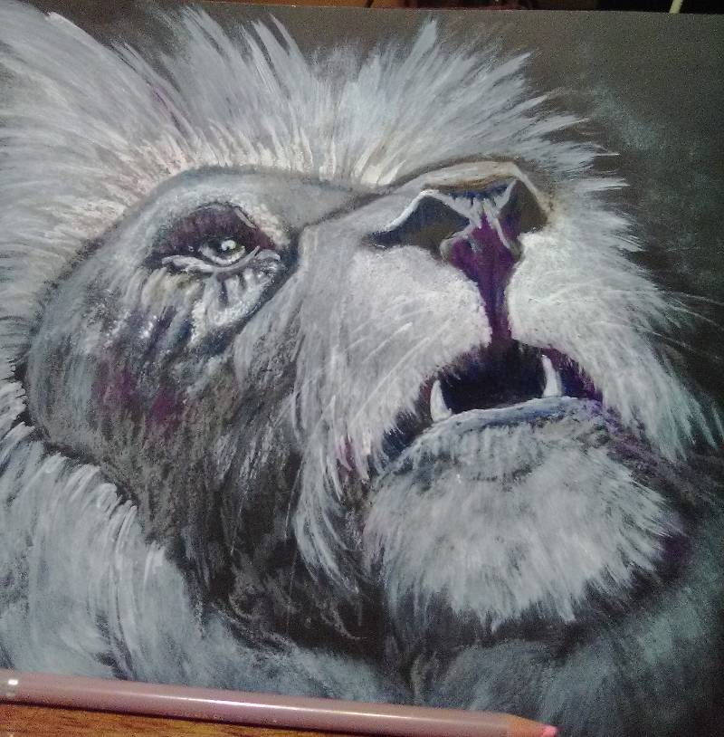 lion by letha (Pencil, Colored pencil, Acrylic paint, Oil pastel)
