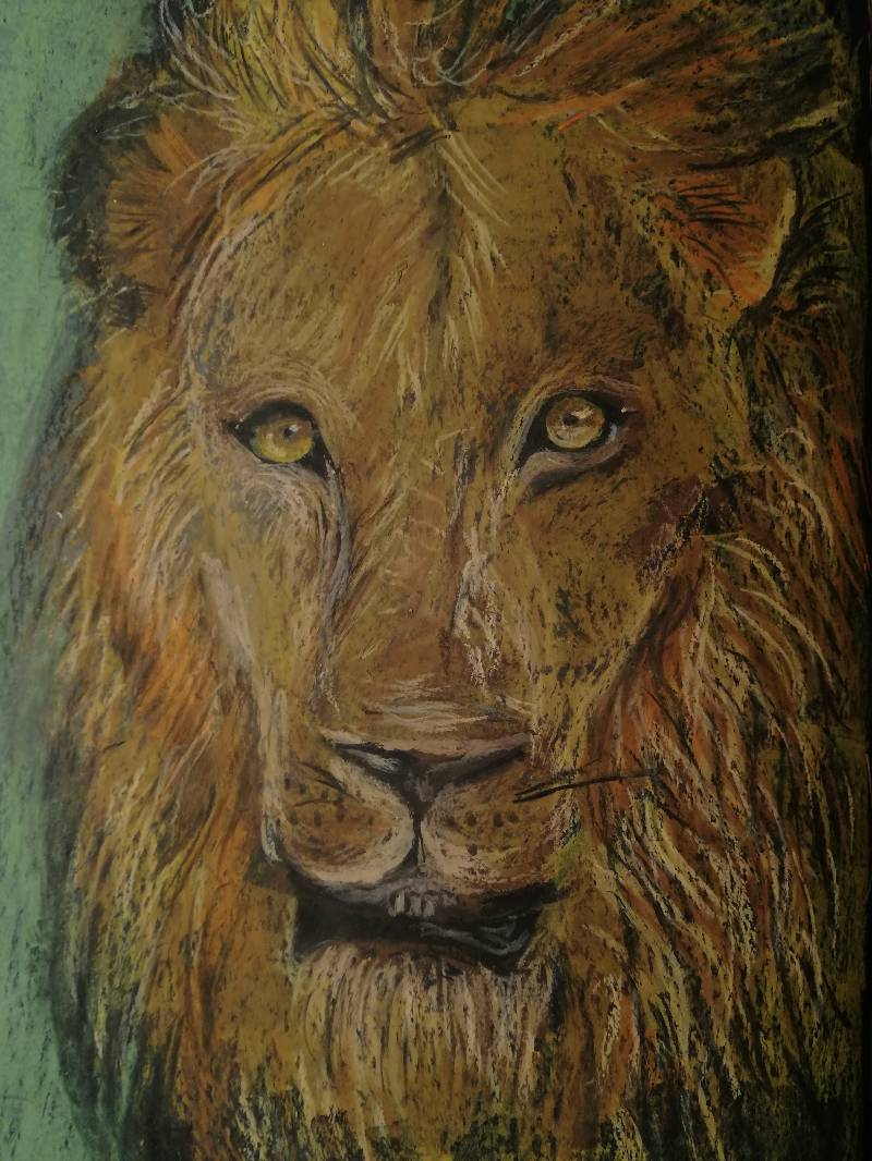lion by Fekla_Ogurcova (Oil pastel)