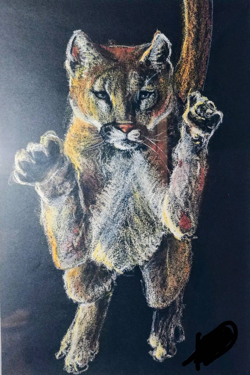lion by _BellCat_ (Soft pastel)