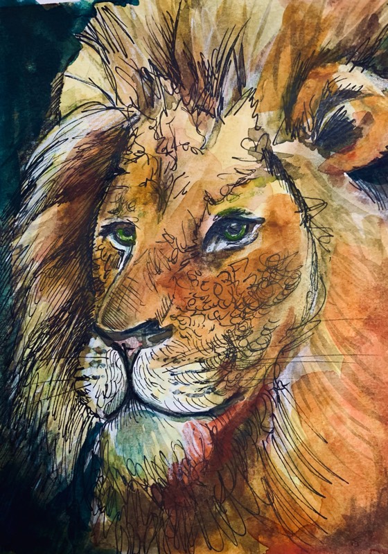 lion by pgpappy (Watercolor, Pen)