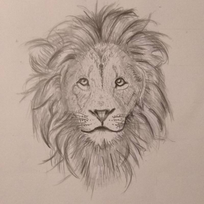 lion by Johnny_ (Pencil)