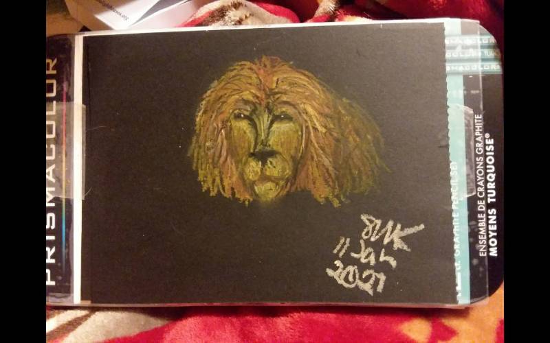 lion by Kitt (Oil pastel)