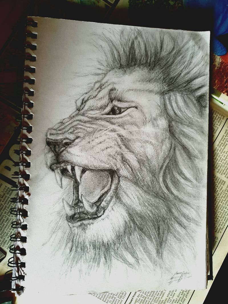 lion by FoxyRed (Pencil)