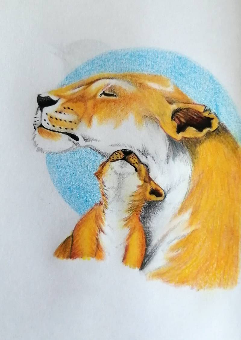 lion by NatGarcia (Colored pencil)