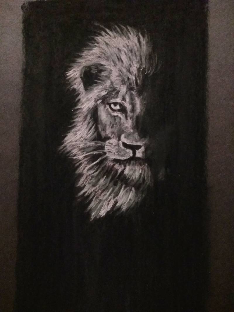 lion by poppygatapetal (Soft pastel)