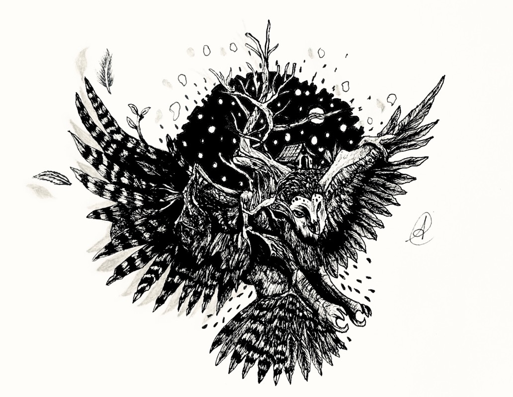 bird by ARTISTIC (Pen, Ink, Pencil)