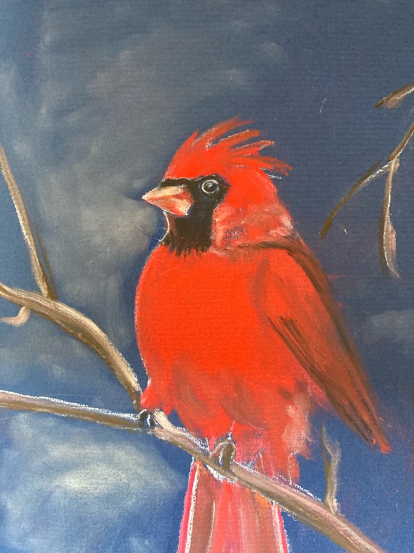 bird by Leoni (Soft pastel)