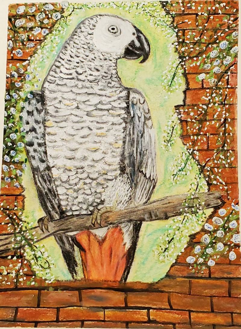bird by Ivoryrose (Oil pastel)