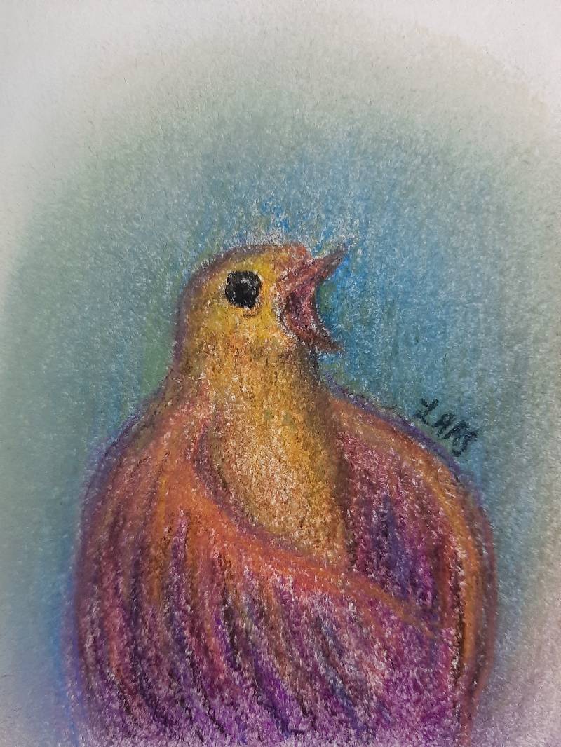 bird by luiss (Soft pastel)